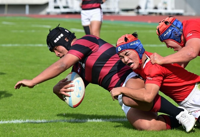 報徳-神戸科技　後半、タックルを受けながらもトライを決める報徳の西崎＝神戸市須磨区、ユニバー記念競技場（撮影・秋山亮太）