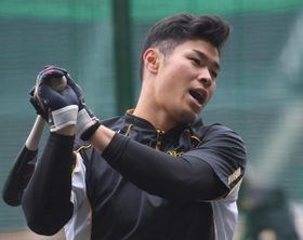 打撃練習をする阪神・佐藤輝明＝６日午後、西宮市の甲子園球場（撮影・田中太一）