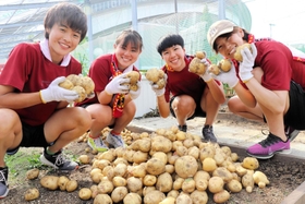 ジャガイモを収穫したＩＮＡＣ神戸の（左から）長江伊吹、川上然、黃雅賢、菊池まりあ＝ノエスタ農園