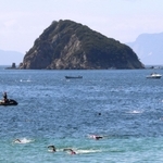 西島沖を泳ぐ選手たち