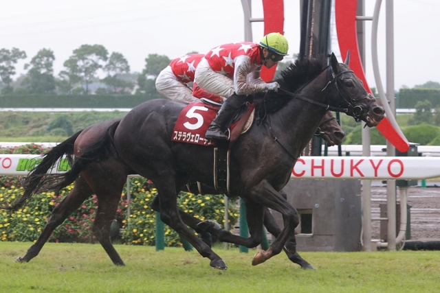 わずかにレッドジェネシスを競り落としたステラヴェローチェ＝中京競馬場（撮影・石湯恒介）