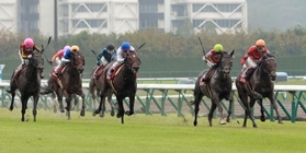 伸びあぐねるシャフリヤール（左）を尻目に激しく競り合うレッドジェネシス（右端）とステラヴェローチェ（右から２頭目）＝中京競馬場（撮影・石湯恒介）