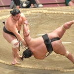 すくい投げで貴景勝（右）を破った妙義龍（撮影・出月俊成）