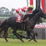 わずかにレッドジェネシスを競り落としたステラヴェローチェ＝中京競馬場（撮影・石湯恒介）