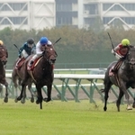 伸びあぐねるシャフリヤール（左）を尻目に激しく競り合うレッドジェネシス（右端）とステラヴェローチェ（右から２頭目）＝中京競馬場（撮影・石湯恒介）