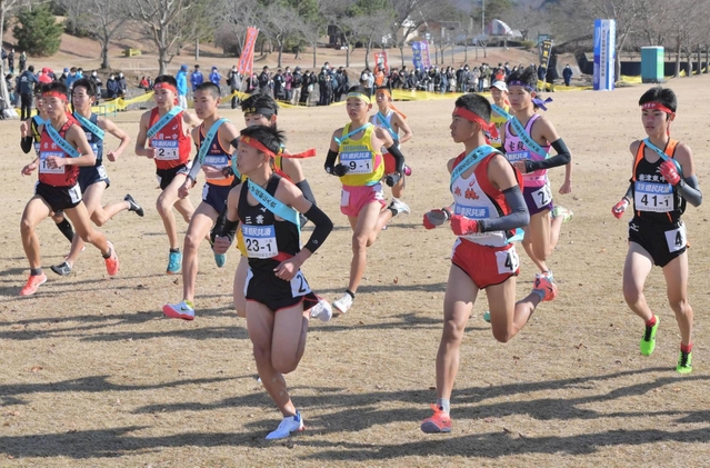 号砲とともに一斉に走り出す男子１区の選手たち＝１９日午後、滋賀県希望が丘文化公園（撮影・秋山亮太）