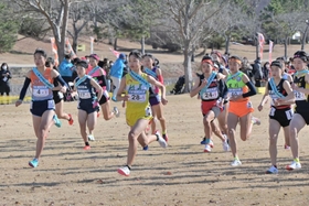 一斉にスタートを切る稲美の吉川菜緒（中央）ら女子１区の選手たち＝１９日午前、滋賀県希望が丘文化公園（撮影・秋山亮太）