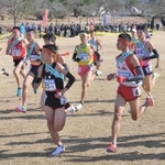 号砲とともに一斉に走り出す男子１区の選手たち＝１９日午後、滋賀県希望が丘文化公園（撮影・秋山亮太）