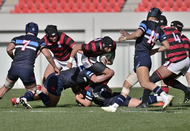 報徳-東海大大阪仰星　前半、激しい攻防戦を繰り広げる報徳フィフティーン＝花園ラグビー場（撮影・秋山亮太）