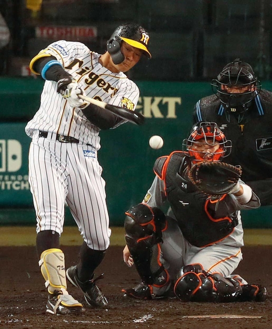 阪神・佐藤輝明