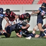 報徳-東海大大阪仰星　前半、激しい攻防戦を繰り広げる報徳フィフティーン＝花園ラグビー場（撮影・秋山亮太）