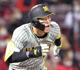 豪快な打撃が魅力の阪神・佐藤輝＝マツダスタジアム