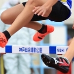 神戸新聞ＮＥＸＴ