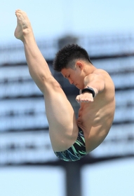 男子高飛び込み決勝　快勝した須磨学園の玉井陸斗の演技＝高知県立春野総合運動公園水泳場（撮影・鈴木雅之）