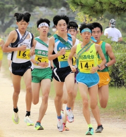 兵庫県高校駅伝阪神地区予選男子１区、２位集団で力走する選手たち＝西宮市の武庫川河川敷