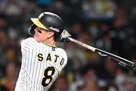 歯を食いしばってフルスイングする阪神の佐藤輝明＝９月１２日、甲子園