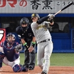 豪快なスイングを見せる阪神の大山悠輔＝１０月１２日、神宮