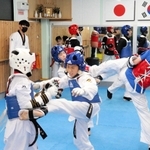 日韓の旗を掲げた道場。稽古では年齢や性別を問わず対戦する＝神戸市兵庫区中道通６