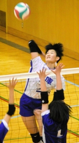 全国都道府県対抗中学大会で兵庫女子をけん引した馬場柚希。高い打点からの力強いスパイクが武器だ＝１２月２６日、大阪市浪速区の浪速スポーツセンター