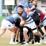 報徳で花園８強が最高だった神戸のフランカー井上（中央）＝神戸市東灘区御影浜町、神鋼灘浜グラウンド