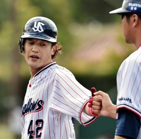 キャンプの練習試合で安打を放ち、コーチとグータッチをするヤクルト坂口智隆外野手＝２０１６年２月１３日、沖縄・浦添