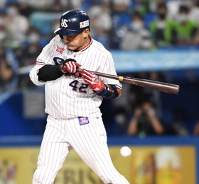 たびたび死球を受けたヤクルトの坂口智隆外野手＝２０２１年９月１１日、神宮球場