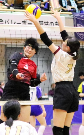 バレーボール女子第５代表決定戦・甲子園-津名　スパイクを放つ甲子園の永森＝和歌山ビッグホエール