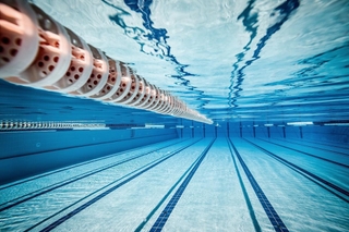 競泳（Andrey Armyagov／stock.adobe.com）