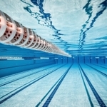 競泳（Andrey Armyagov／stock.adobe.com）