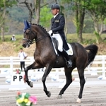 優勝した兵庫の稗田龍馬とトレフィンガースタンレイ＝１１日、鹿児島県霧島市牧園町高千穂、霧島市牧園特設馬術競技場（撮影・斎藤雅志）