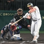 ２回裏阪神１死一塁、安打を放つノイジー＝３１日夜、西宮市の甲子園球場（撮影・風斗雅博）
