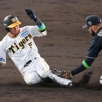 ３回裏阪神１死一塁、盗塁に失敗した近本＝甲子園（撮影・風斗雅博）