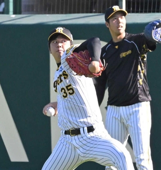 日本シリーズを前にキャッチボールで体をほぐす阪神の才木浩人投手＝１０月２５日、西宮市の甲子園球場