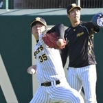 日本シリーズを前にキャッチボールで体をほぐす阪神の才木浩人投手＝１０月２５日、西宮市の甲子園球場