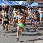 昨年大会でスタートする男子選手たち＝２０２２年１１月１９日、豊岡市日高町