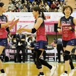ストレート勝ちを収めて喜ぶ姫路の選手たち＝加古川市立総合体育館