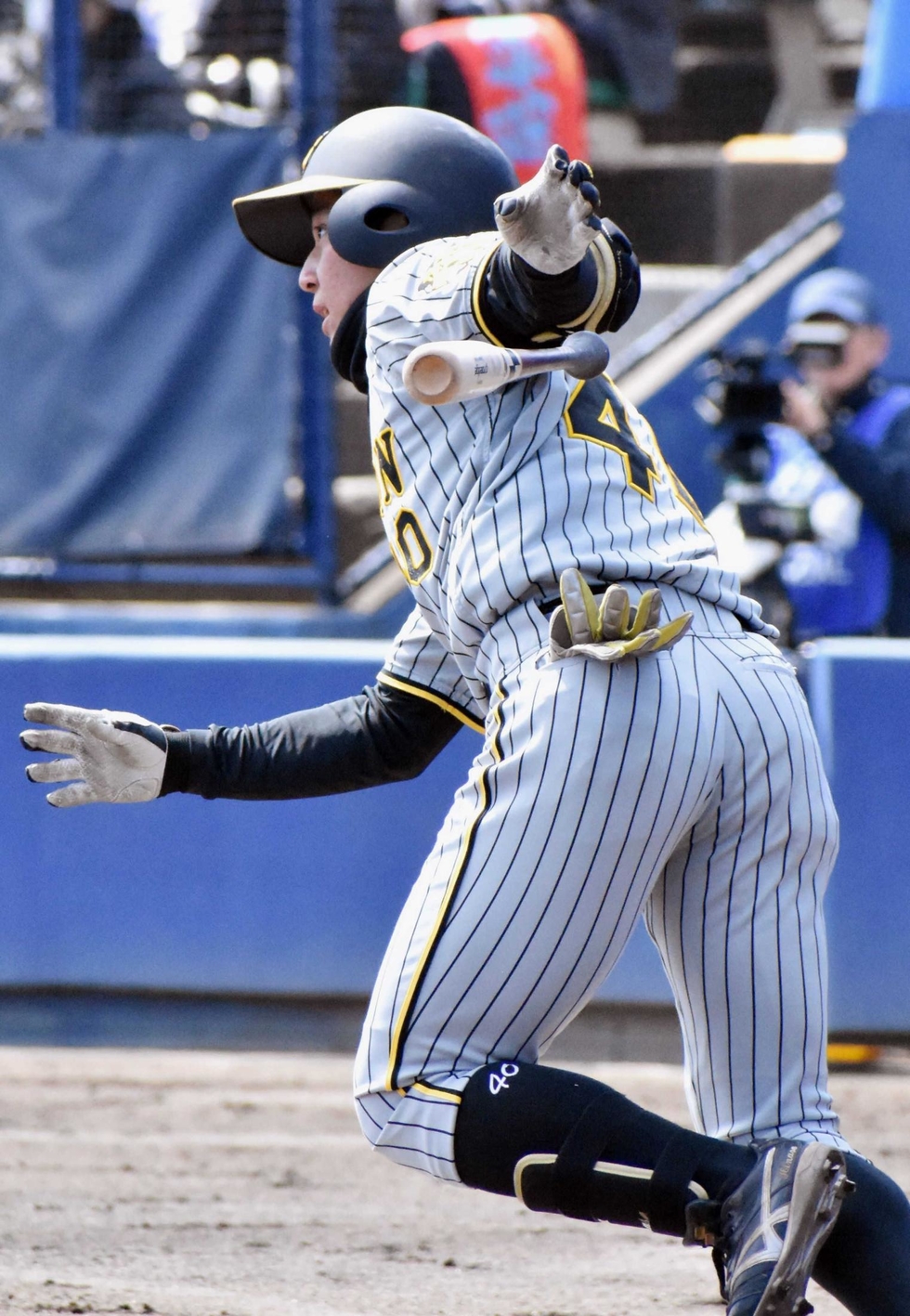 飛び出せ!若虎】井坪陽生 フォーム修正で打率向上|スポーツ|神戸新聞NEXT