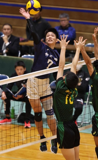 男子決勝　市尼崎－神港学園　第１セット、スパイクを放つ市尼崎の宇原（７）＝撮影・小林良多