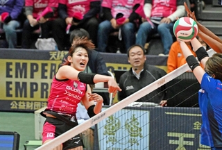 姫路－ＳＡＧＡ久光　第２セット、スパイクを放つ姫路の井上（撮影・斎藤雅志）