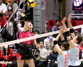 １５日のデンソー戦でスパイクを放つ姫路の井上愛里沙＝姫路市西延末、ヴィクトリーナ・ウインク体育館