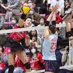 姫路-デンソー　第２セット、スパイクを放つ姫路・井上愛里沙＝姫路市西延末、ヴィクトリーナ・ウインク体育館（撮影・辰巳直之）