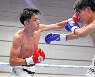 日本ユースバンタム級王座決定戦で、宮下椋至に左ストレートを打ち込む坂井優太（左）＝15日、エディオンアリーナ大阪第２競技場