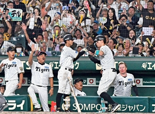 阪神－巨人　８回裏１死、佐藤輝明（右から２人目）が本塁打を放ち沸き立つベンチや観客＝２９日午後、西宮市の甲子園球場（撮影・斎藤雅志）