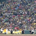 阪神－巨人　７回裏の攻撃を前に盛り上がる阪神ファン＝２９日午後、西宮市の甲子園球場（撮影・斎藤雅志）