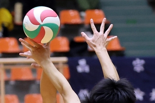 神戸新聞ＮＥＸＴ