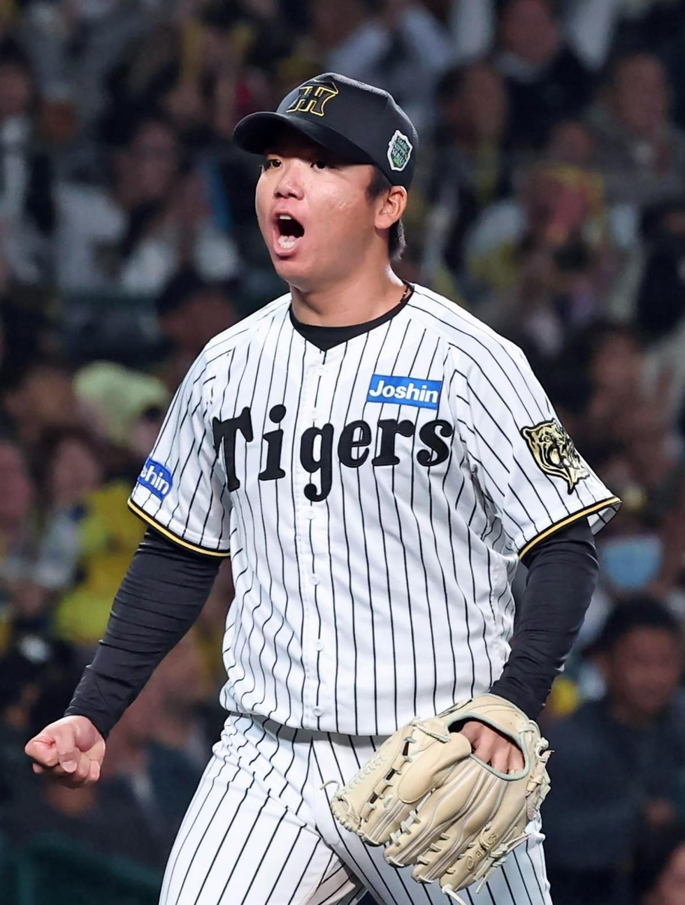 a_19651864.jpg?a=302025133424