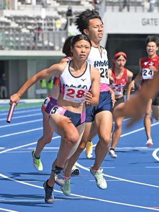 陸上成年少年男女混合１６００メートルリレー決勝　兵庫の第１走者の橋詰竜輝（右）からバトンを受け取る幸長愛美＝滋賀県平和堂ＨＡＴＯスタジアム（撮影・大田将之）