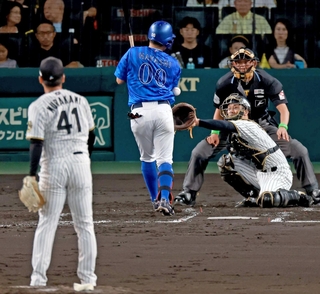 ２回１死、横浜の林琢真がスローボールで死球を受ける＝甲子園球場（撮影・鈴木雅之）