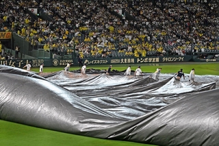 激しい雨により試合は一時中断。雨がやみ、グラウンドを覆うシートをはがす球場スタッフら＝１６日夜、甲子園球場（撮影・風斗雅博）