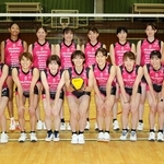 ＳＶリーグ２季目に挑む姫路の選手たち＝姫路市千代田町、三菱電機姫路体育館